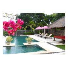 Pool Flowers - Palm Living Bali Long Term Villa Rentals