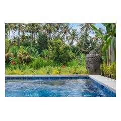 Pool Buddha - Palm Living Bali Long Term Villa Rentals