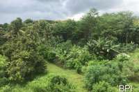Land For Sale in North Bali