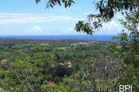 Bungalow Resort For Sale in Bali