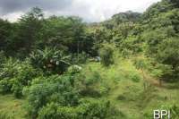 Land For Sale in North Bali