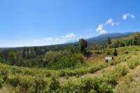 Beautiful Hillside Land in Bali