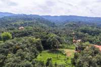 Bali Land For Sale