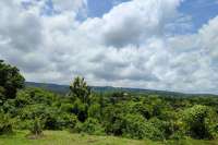 Hillside land in Kayuputih for sale