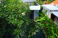 Well Maintained Villa For Sale In Sanur