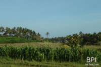 4 Plots Of Land For Sale In West Bali