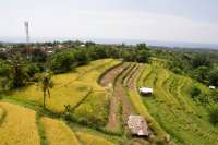 Beautiful Hillside Land in Bali