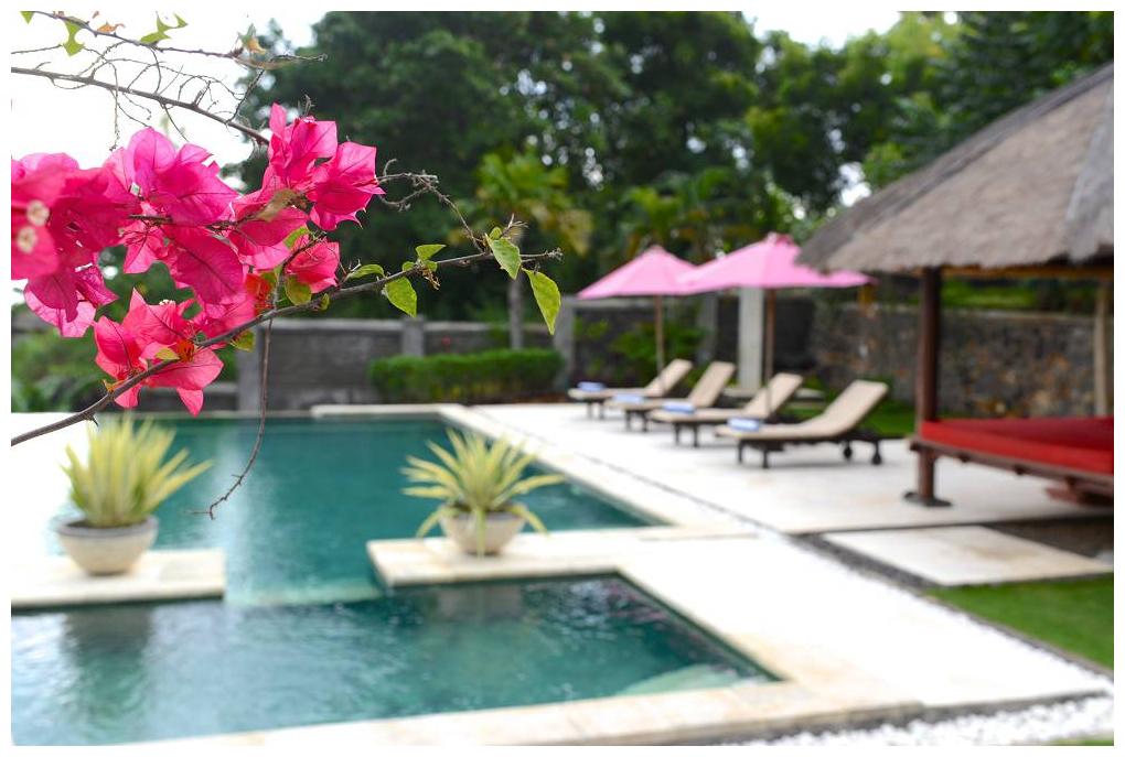 North Bali Pool Flowers