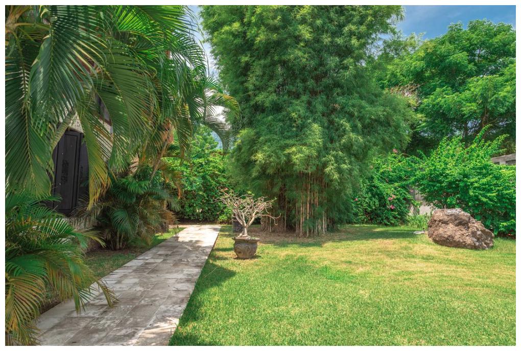 Outside Picture 61