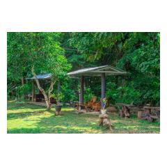 In The Garden 4 - Palm Living Bali Long Term Villa Rentals