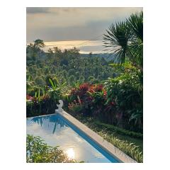 Whatsapp Image 2026 06 20 At 18.11.29.jpeg - Palm Living Bali Long Term Villa Rentals