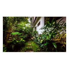 Lush Garden - Palm Living Bali Long Term Villa Rentals