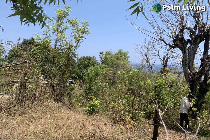 Hillside Plot with Ocean View
