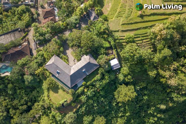 Luxury Villa For Sale in Kayuputih Lovina