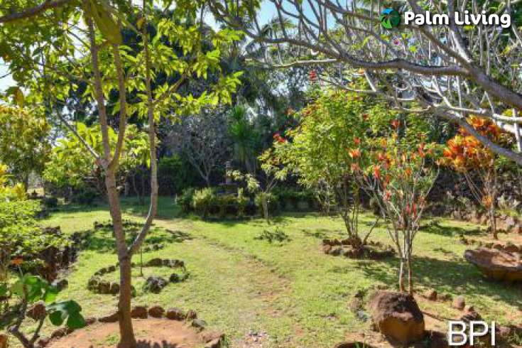 Land for Sale in Bali: 180 Degree Views