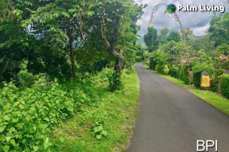 Kayuputih Land For Sale - Bali