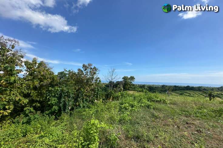 Land for Sale with Stunning Views in Panji