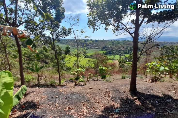 Hillside Land For Sale, North Bali