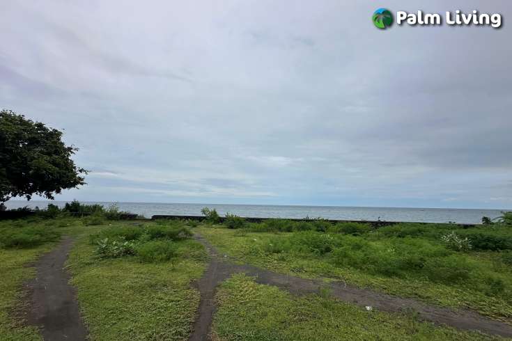 Large Plot of Land for Sale 1.6ha