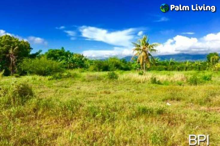 Beachfront Land For Sale in Kalianget