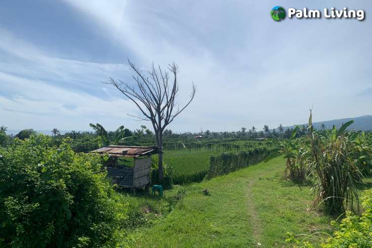 Plot for Sale with Mountain Views