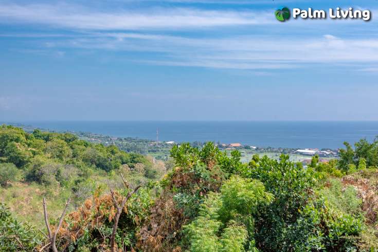 Hillside Land with stunning view near Lovina