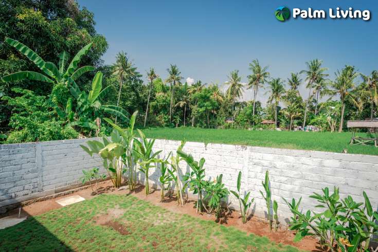 Brand New Villa for sale in Central Lovina