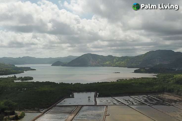 Beautiful Land in South Lombok for Sale