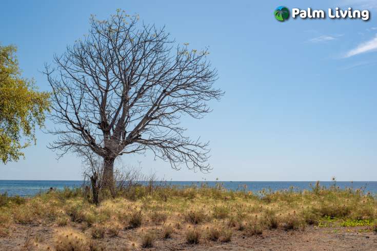 Stunning Seaview land for sale in Pemuteran