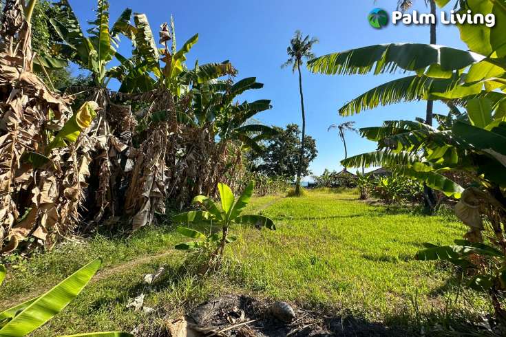 Beachfront Land Close to Central Lovina