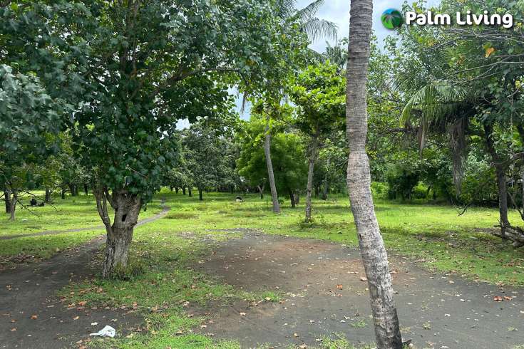 Prime Land for Sale - Development