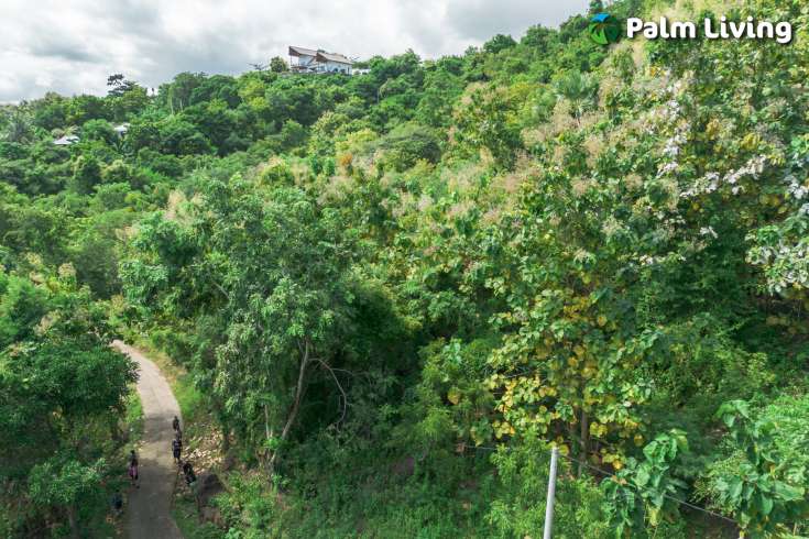 Elevated Big Plot in Kaliasem for Sale