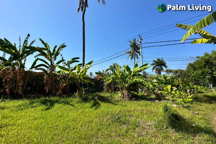 Beachfront Land Close to Central Lovina