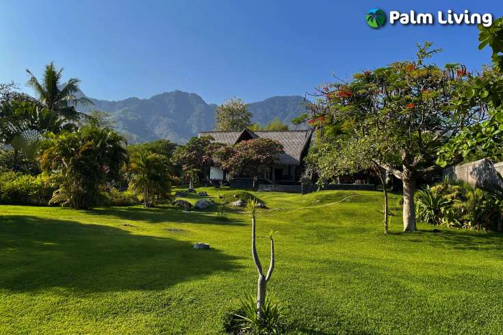 Villa or Yoga Retreat Estate in Pemuteran