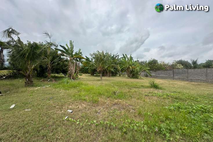 Beachfront Land West Lovina for Sale