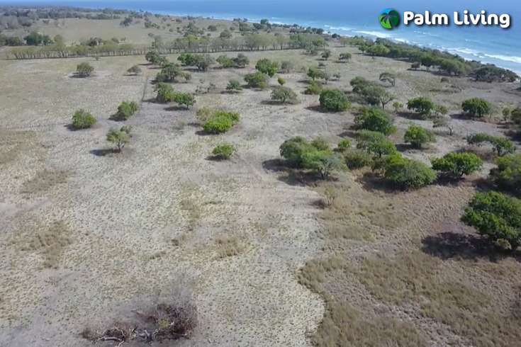 Seaside Prime Land near Wera Beach for Sale