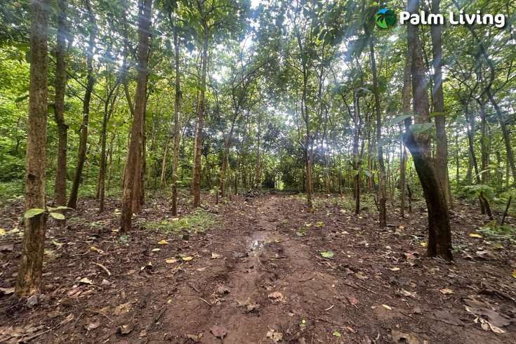 Simple & Affordable Land for Sale