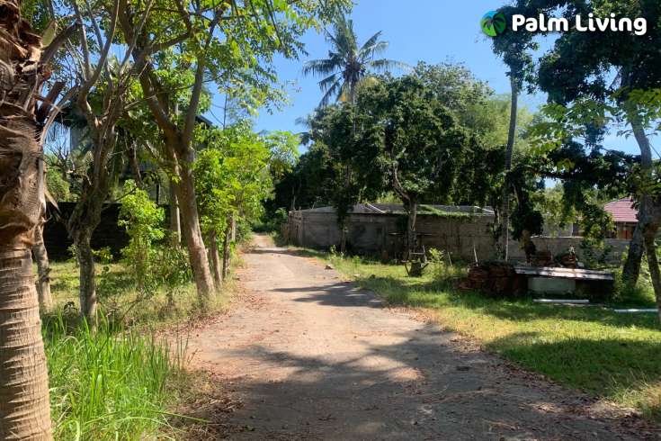 Primesized Land near Lovina for Sale