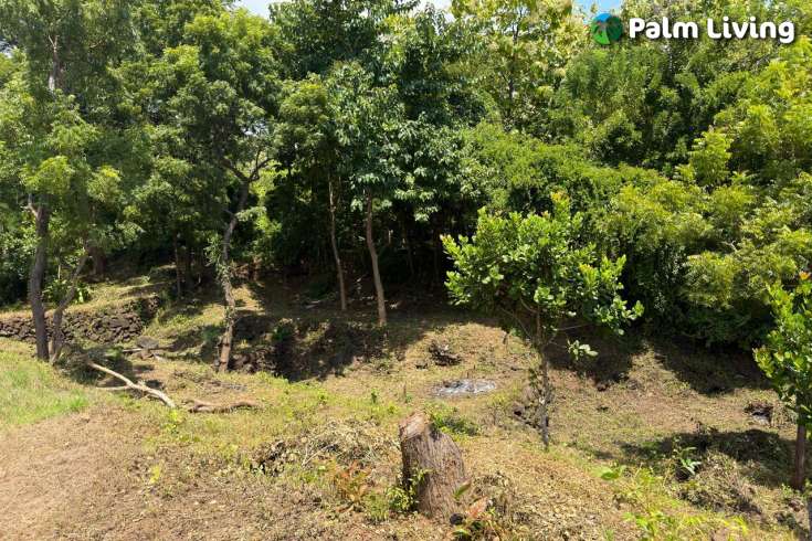 Ocean View Land for Sale in Pacung, North Bali
