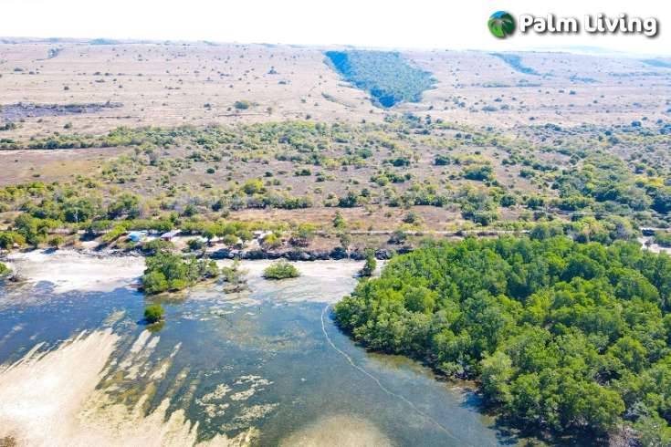 Huge Beachfront Land in Hamba Praing Sumba
