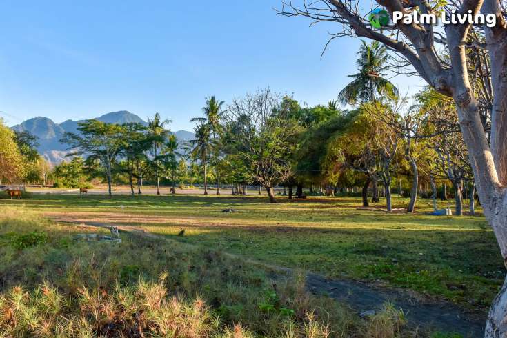 Beachfront Land In Sumberkima Bali