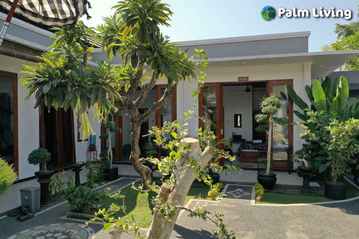 Guest House For Sale In Lovina