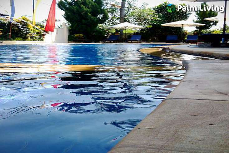 Luxury Boutique Hotel Sale Close Lovina Central
