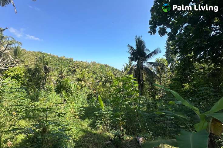 Hillside Plot in Kayuputih for Sale