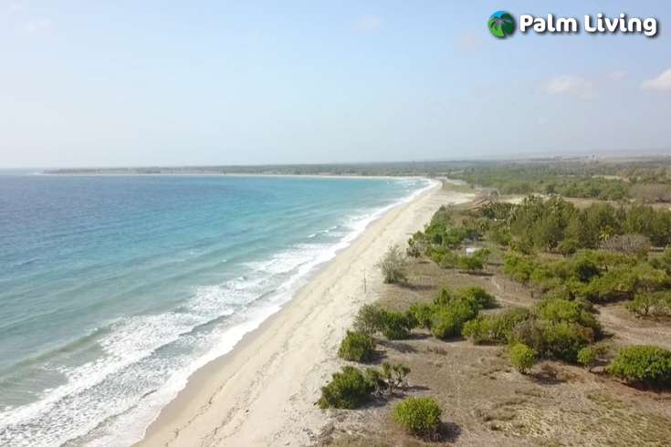 Seaside Prime Land near Wera Beach for Sale