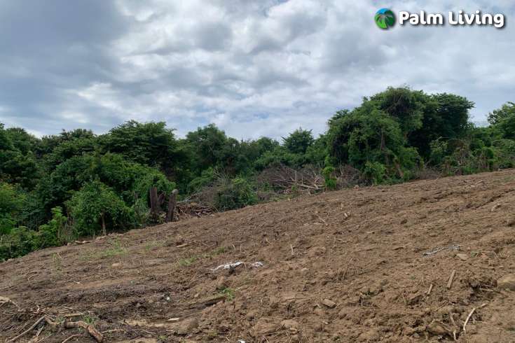 Hillside Land For Sale Bali