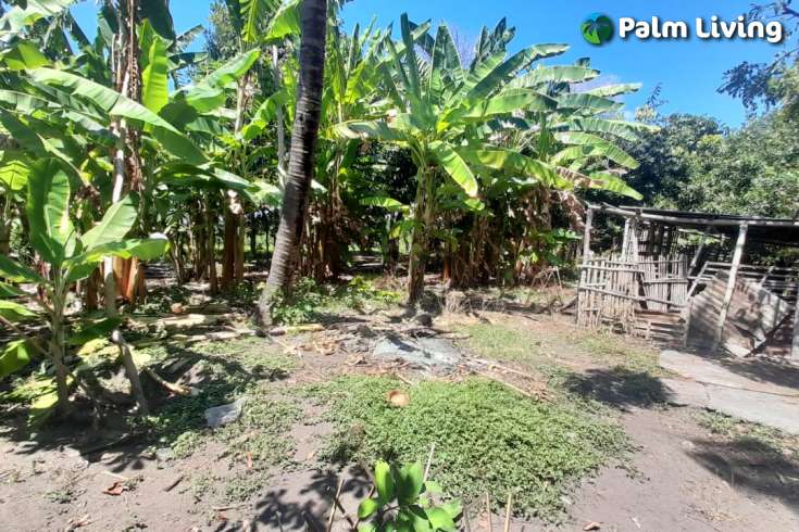 Bali Beachfront Land for sale
