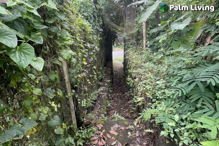 Tegallalang Land for Sale with Good View