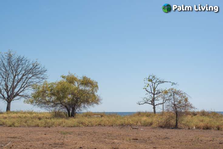 Stunning Seaview land for sale in Pemuteran