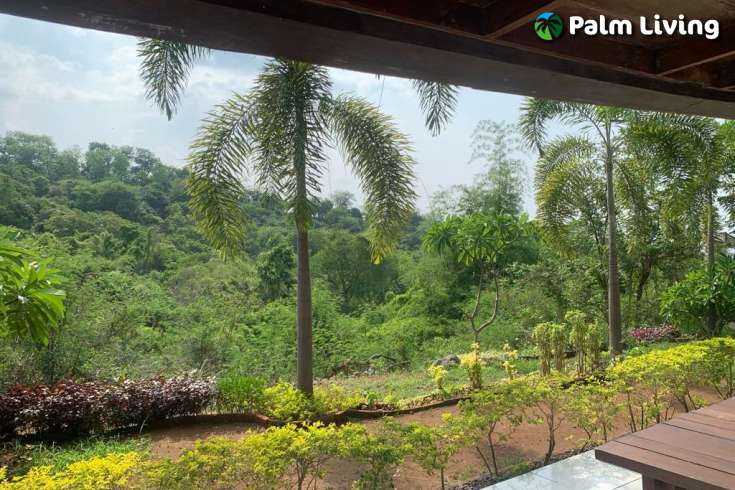 Land plot with Small Two Storey House